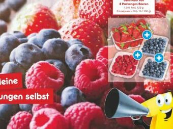 Netto Marken-Discount Himbeeren Angebot