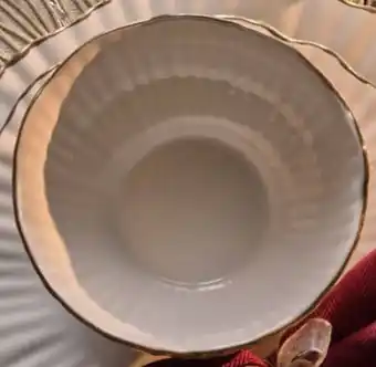 Action Speiseteller Arista Angebot