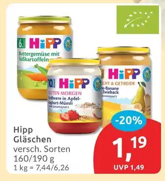 Budni Hipp buttergemüse mit süßkartoffeln Angebot