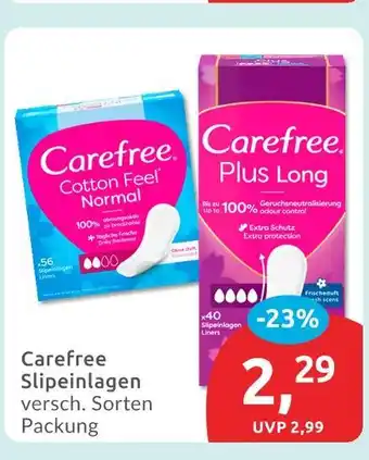 Budni Carefree cotton feel normal Angebot