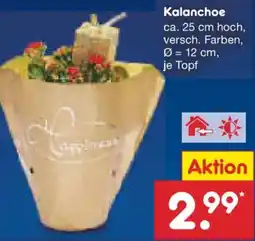 Netto Marken-Discount Kalanchoe Angebot