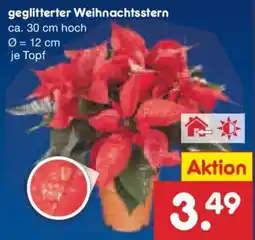 Netto Marken-Discount geglitterter Weihnachtsstern Angebot