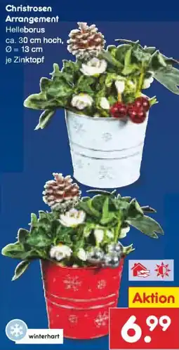 Netto Marken-Discount Christrosen Arrangement Angebot