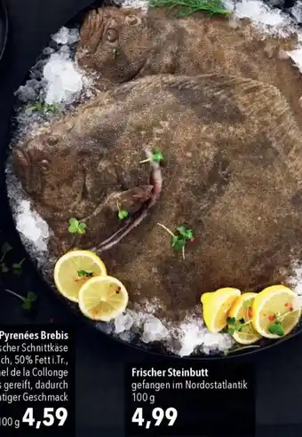 CITTI Markt Frischer Steinbutt Angebot