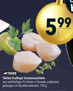CITTI Markt Tiefsee-Scallops/Kammmuscheln Angebot