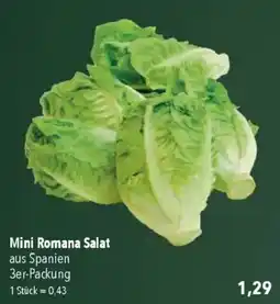 CITTI Markt Mini Romana Salat Angebot