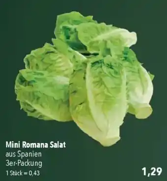 CITTI Markt Mini Romana Salat Angebot