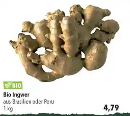 CITTI Markt Bio Ingwer Angebot