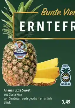 CITTI Markt Ananas Extra Sweet Angebot