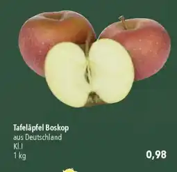 CITTI Markt Tafeläpfel Boskop Angebot