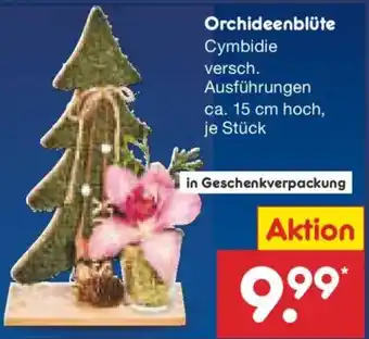 Netto Marken-Discount Orchideenblüte Angebot