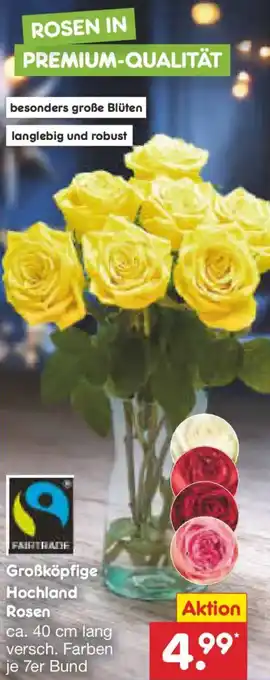 Netto Marken-Discount Großköpfige Hochland Rosen Angebot