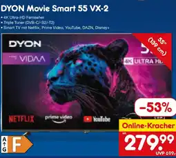 Netto Marken-Discount DYON Movie Smart 55 VX-2 Angebot
