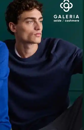 Galeria Herren-Pullover mit Rundhals oder V-Ausschnitt oder Herren-Pullunder Angebot