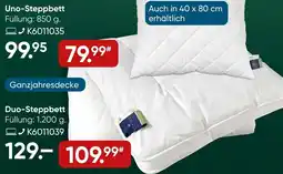 Galeria Billerbeck Steppbett ALCANDO Angebot