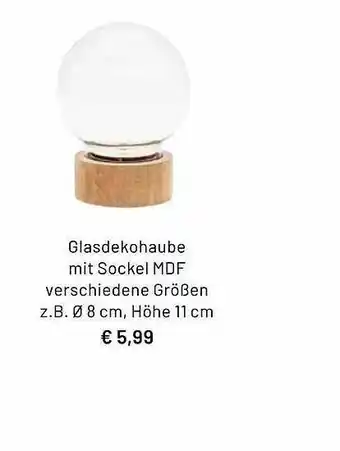 Idee Creativmarkt Glasdekohaube Mit Sockel Mdf Verschiedene Größen Angebot