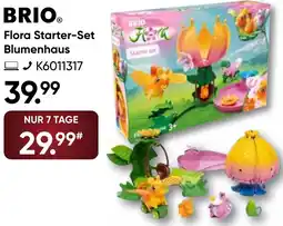 Galeria BRIOⓇ Flora Starter-Set Blumenhaus Angebot