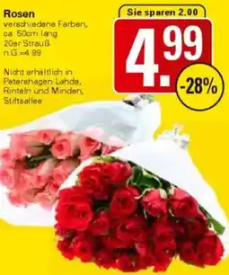 WEZ Rosen Angebot