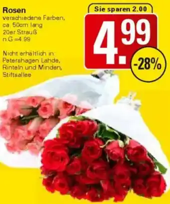 WEZ Rosen Angebot