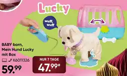 Galeria BABY born, Mein Hund Lucky mit Box Angebot