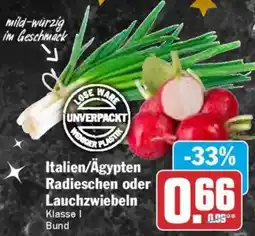 AEZ Italien/Ägypten Radieschen oder Lauchzwiebeln Angebot