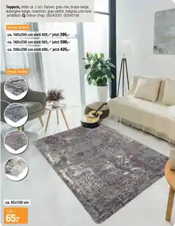 Opti Wohnwelt Teppich Angebot