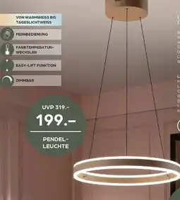 Möbel Buss Pendelleuchte Angebot