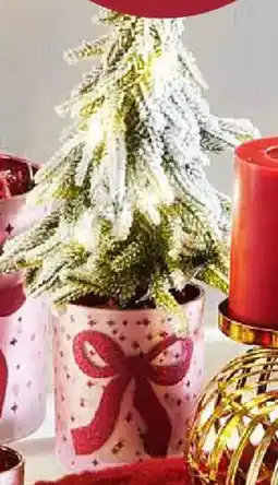 Möbel Buss LED dekobäumchen Angebot