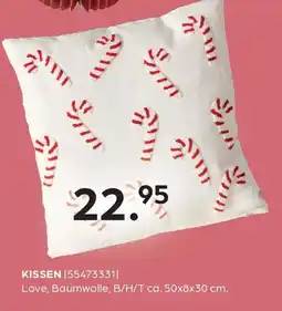 Möbel Buss Kissen Angebot