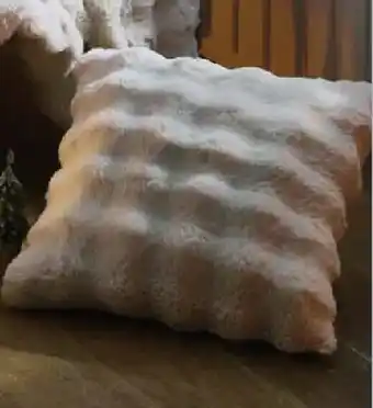 Möbel Buss Kissenhülle Angebot