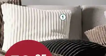 Möbel Buss Kissen Angebot