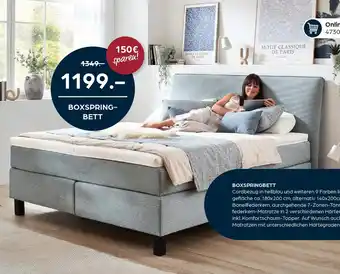 Möbel Buss Boxspringbett Angebot