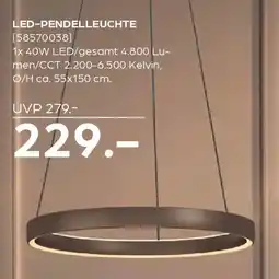 Möbel Buss Eglo leuchten LED pendelleuchte Angebot