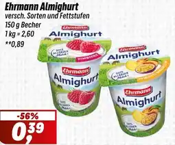 Simmel Ehrmann Almighurt Angebot