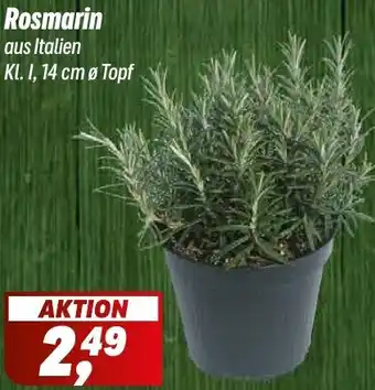 Simmel Rosmarin Angebot
