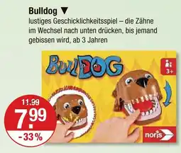 V Markt Noris bulldog Angebot