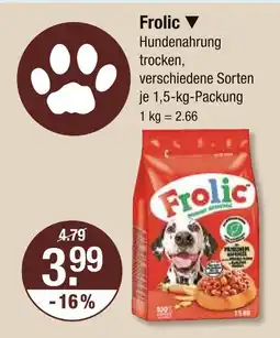 V Markt Frolic hundenahrung trocken Angebot