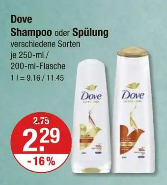 V Markt Dove shampoo Angebot
