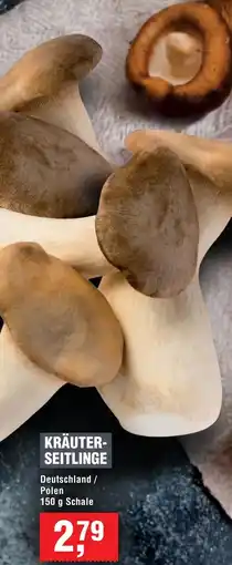 Handelshof Kräuterseitlinge Angebot