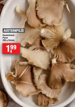 Handelshof Austernpilze Angebot