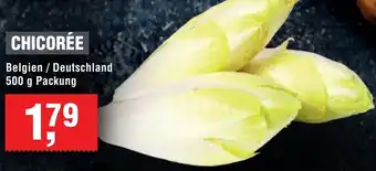 Handelshof Chicorée Angebot