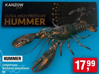 Handelshof Hummer Angebot