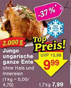 Jawoll Junge ungarische ganze Ente Angebot