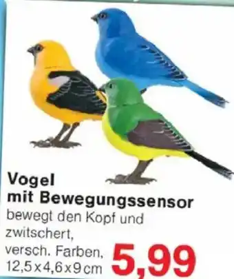 Jawoll Vogel mit Bewegungssensor Angebot