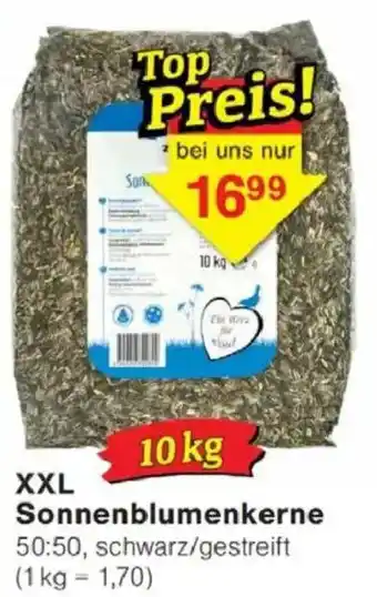 Jawoll XXL Sonnenblumenkerne Angebot
