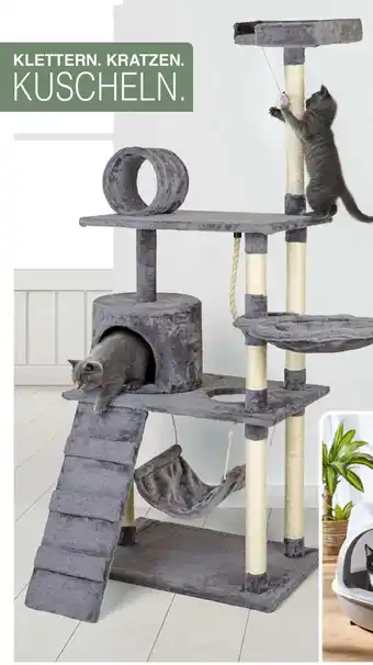 Woolworth Kratzbaum Angebot