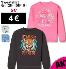 Woolworth Sweatshirt Angebot