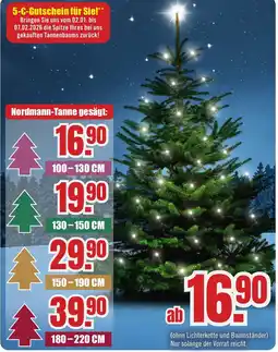B1 Discount Baumarkt Nordmann-Tanne Angebot