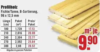 B1 Discount Baumarkt Profilholz Angebot