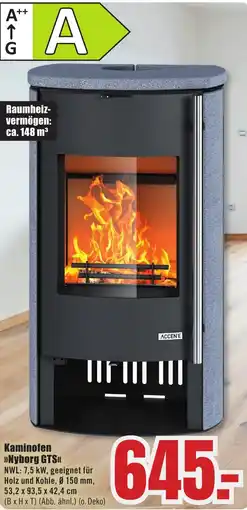 B1 Discount Baumarkt Kaminofen Nyborg GTS Angebot